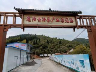 【灌阳县油茶产业示范区】一个有着充实的精神生活的人，对待身外之物自会有一种淡泊的态度 - 神农架28生活网 snj.28life.com