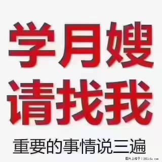 【招聘】月嫂，上海徐汇区 - 神农架28生活网 snj.28life.com