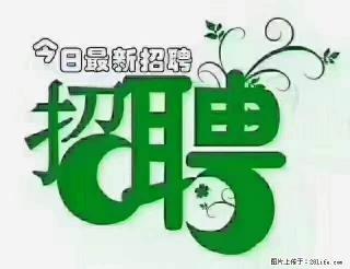 上海青浦区招仓管 - 神农架28生活网 snj.28life.com