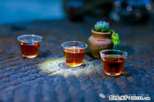 时间果百年古树2025年春红茶 - 购物交流 - 神农架生活社区 - 神农架28生活网 snj.28life.com