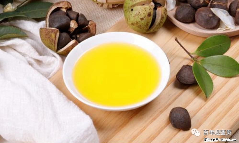 揭秘茶油的5大核心营养成分！被称为人体健康的“守护盾”！ - 神农架生活资讯 - 神农架28生活网 snj.28life.com