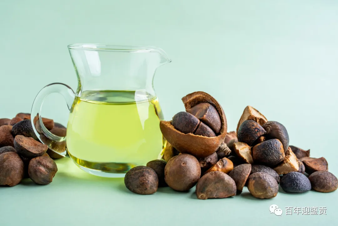 世界没有真相，只有认知，最好的食用油是中国的山茶油！ - 神农架生活资讯 - 神农架28生活网 snj.28life.com