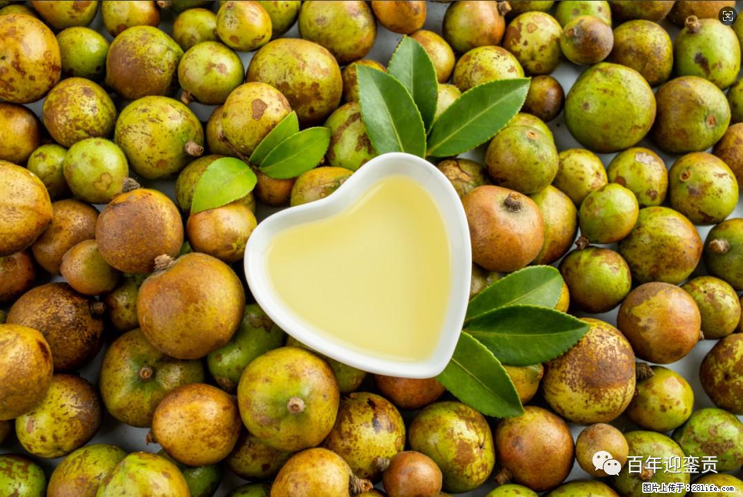 世界没有真相，只有认知，最好的食用油是中国的山茶油！ - 神农架生活资讯 - 神农架28生活网 snj.28life.com