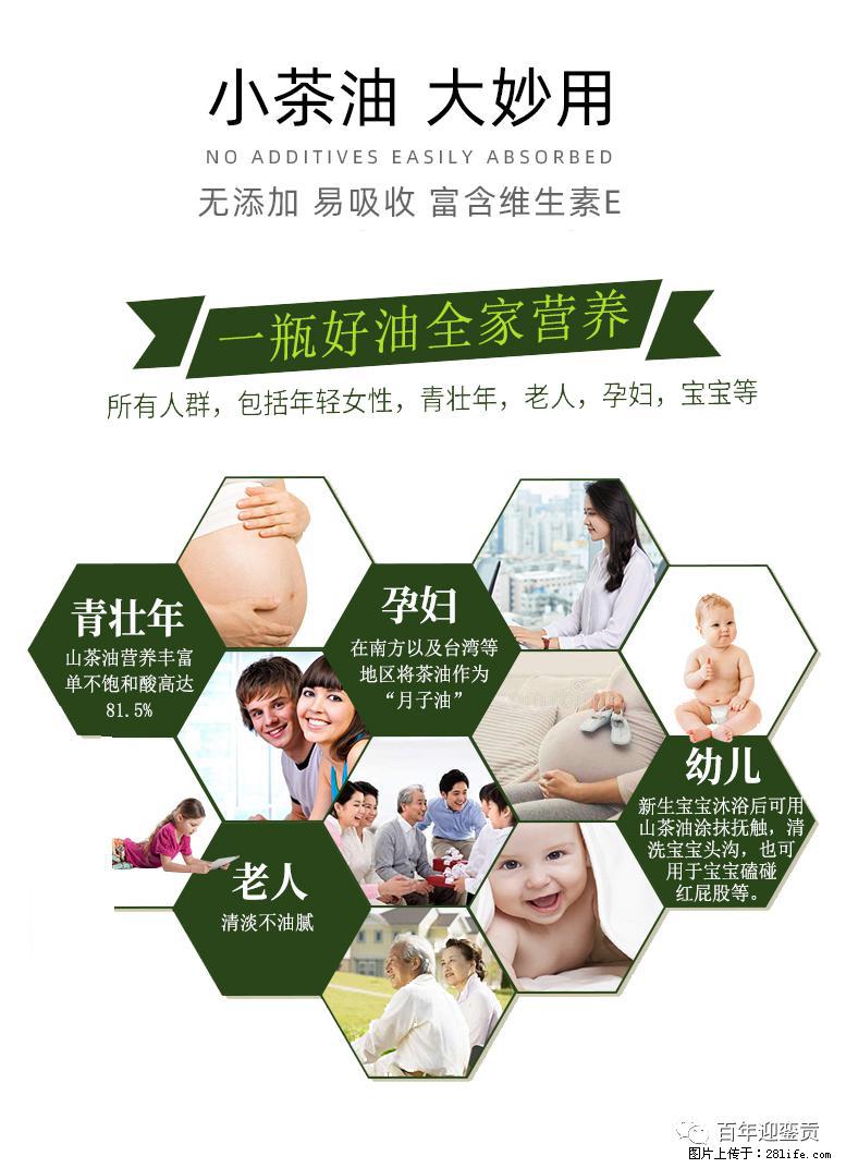 世界没有真相，只有认知，最好的食用油是中国的山茶油！ - 神农架生活资讯 - 神农架28生活网 snj.28life.com