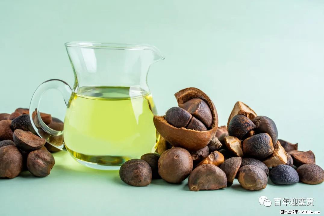 世界没有真相，只有认知，最好的食用油是中国的山茶油！ - 神农架生活资讯 - 神农架28生活网 snj.28life.com