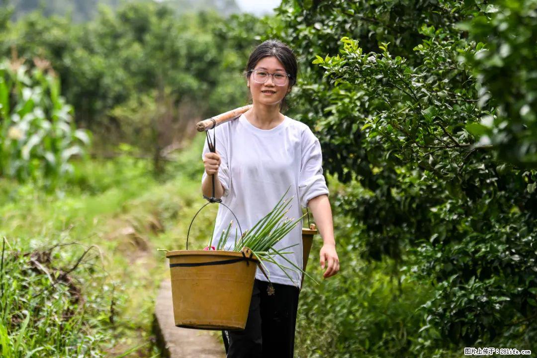全网追的“扁担女孩”，找了一份暑假工，时薪12元 - 神农架生活资讯 - 神农架28生活网 snj.28life.com