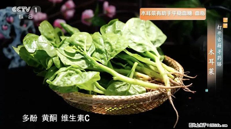 比牛奶补钙还厉害!凉血解毒、稳血糖...这菜冬天必吃,很多人却当草 - 神农架生活资讯 - 神农架28生活网 snj.28life.com