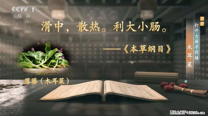 比牛奶补钙还厉害!凉血解毒、稳血糖...这菜冬天必吃,很多人却当草 - 神农架生活资讯 - 神农架28生活网 snj.28life.com