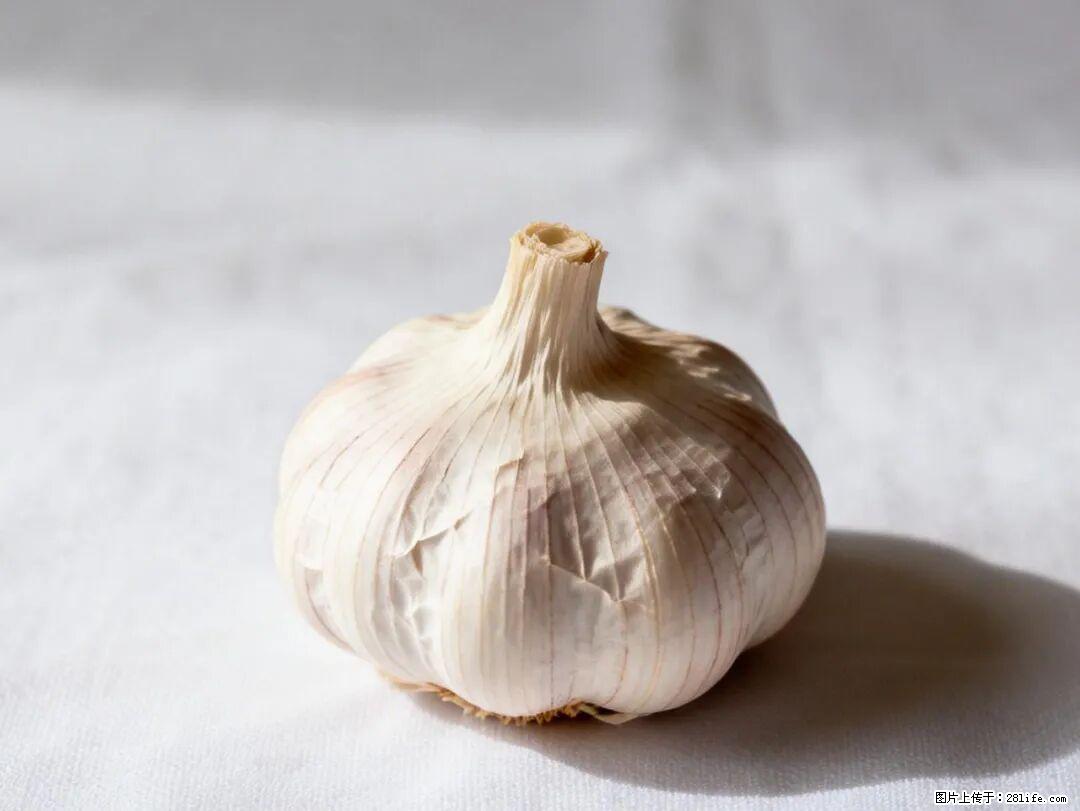 关于大蒜,除了“天然抗生素”,这4个谣言更该警惕! - 神农架生活资讯 - 神农架28生活网 snj.28life.com