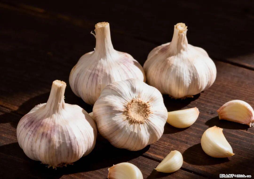 关于大蒜,除了“天然抗生素”,这4个谣言更该警惕! - 神农架生活资讯 - 神农架28生活网 snj.28life.com