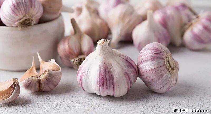 抗菌消炎、护肝健脾！这种“天然青霉素”就在你家餐桌上，春季吃正合适 - 神农架生活资讯 - 神农架28生活网 snj.28life.com