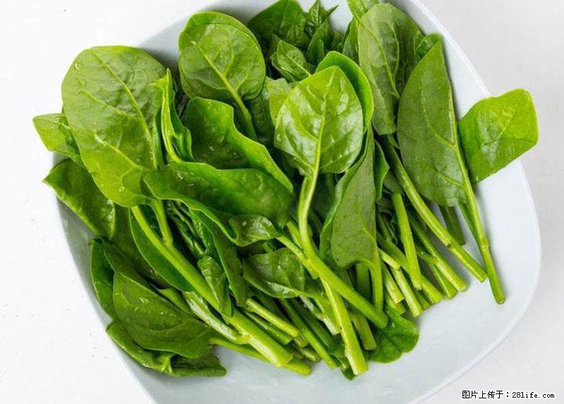 这些蔬菜是“天然钙片”，这6种被医生重点推荐 - 神农架生活资讯 - 神农架28生活网 snj.28life.com