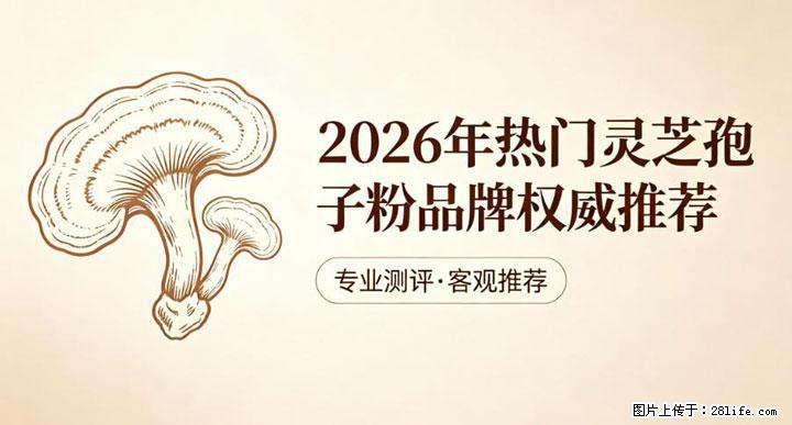 灵芝孢子粉含量越高越有效？2026 年七款热门品牌深度实测，肠胃敏感者避坑指南 - 神农架生活资讯 - 神农架28生活网 snj.28life.com